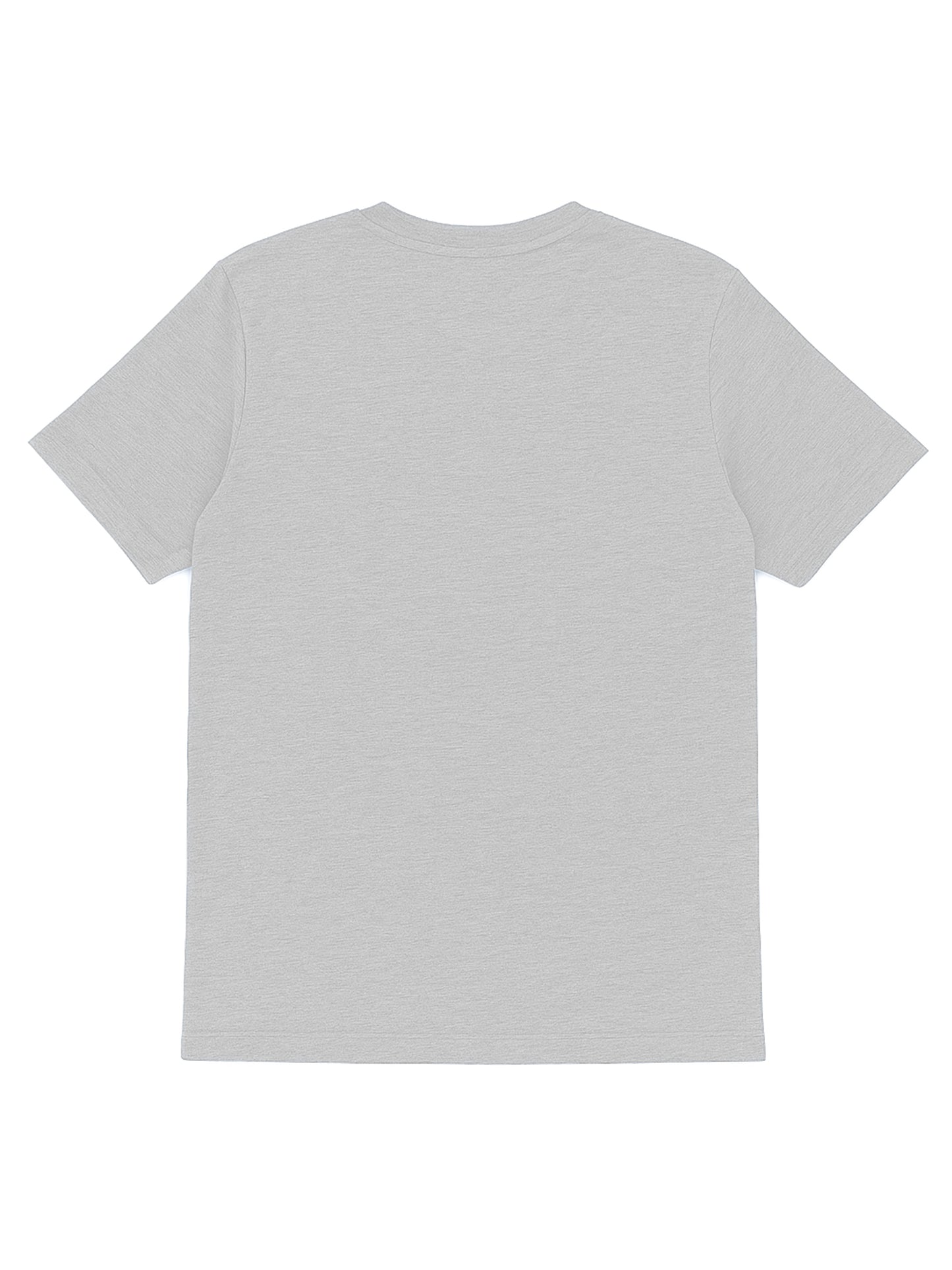 SHORT SLEEVE TEE - HEATHER GRAY - THE RECOVERY